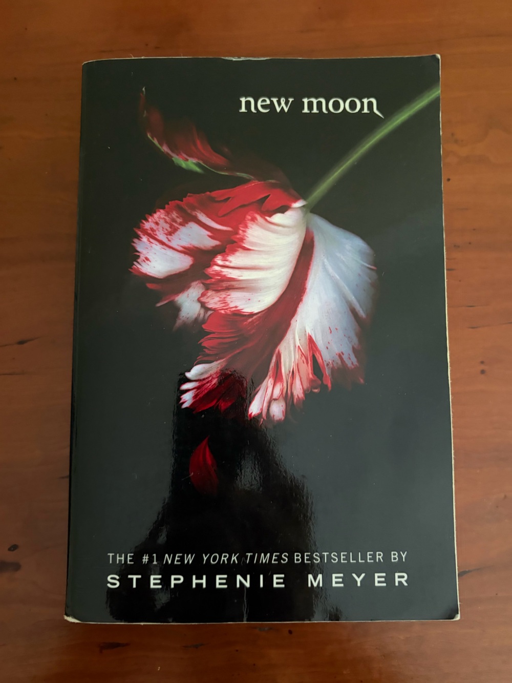 New Moon Hardcover Book - Red & White Floral Cover